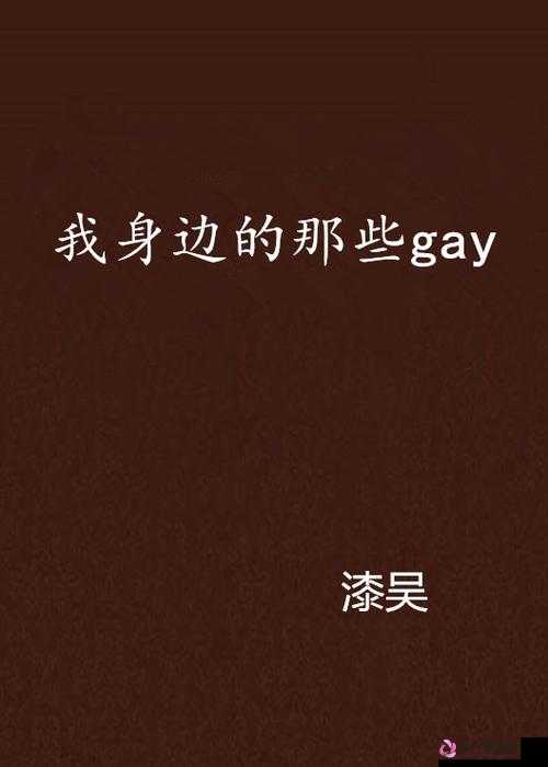 男男 gaygay 拳头：关于男男 gaygay 拳头的深入探讨与分析